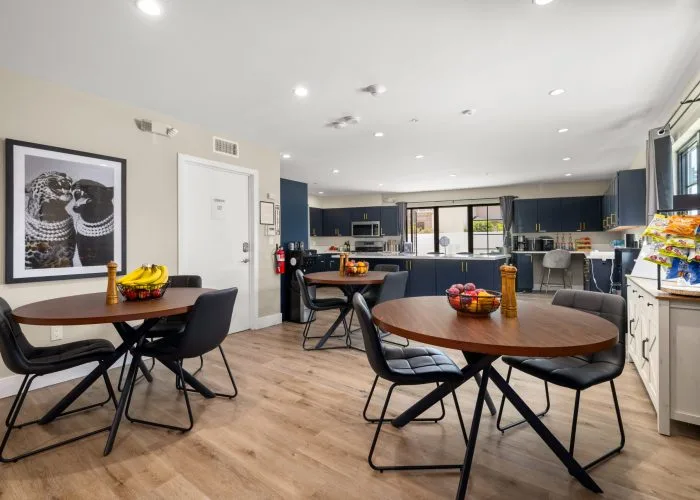 Recovery Dynamics Drug & Alcohol Rehab Los Angeles