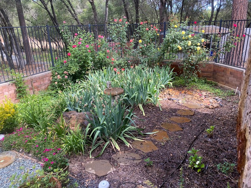 More To Life Recovery