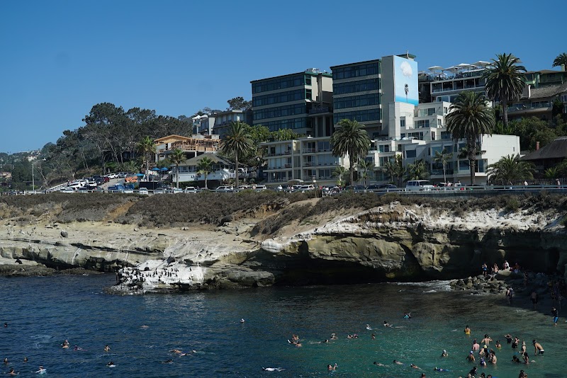 La Jolla Recovery