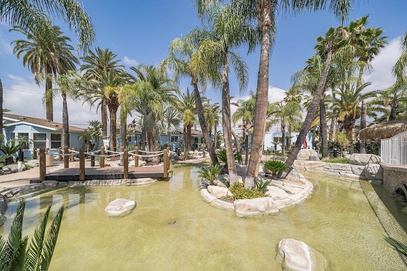 We Level Up California Llc