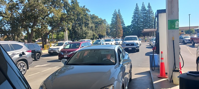 Ryse Above / Stanford Sierra Youth & Families