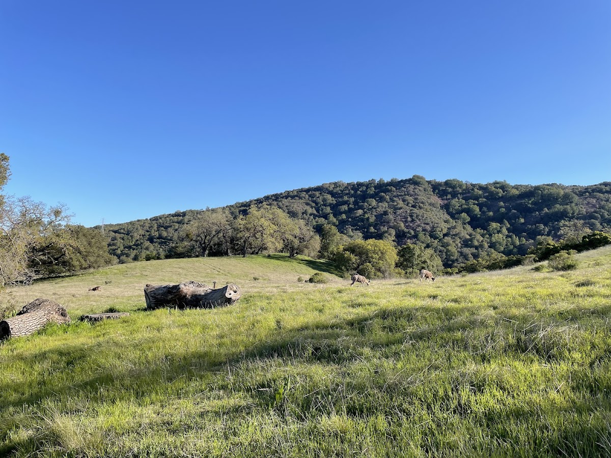 Rancho SAN Antonio
