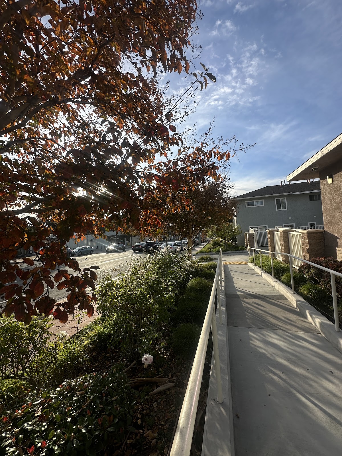 Solace Counseling Center