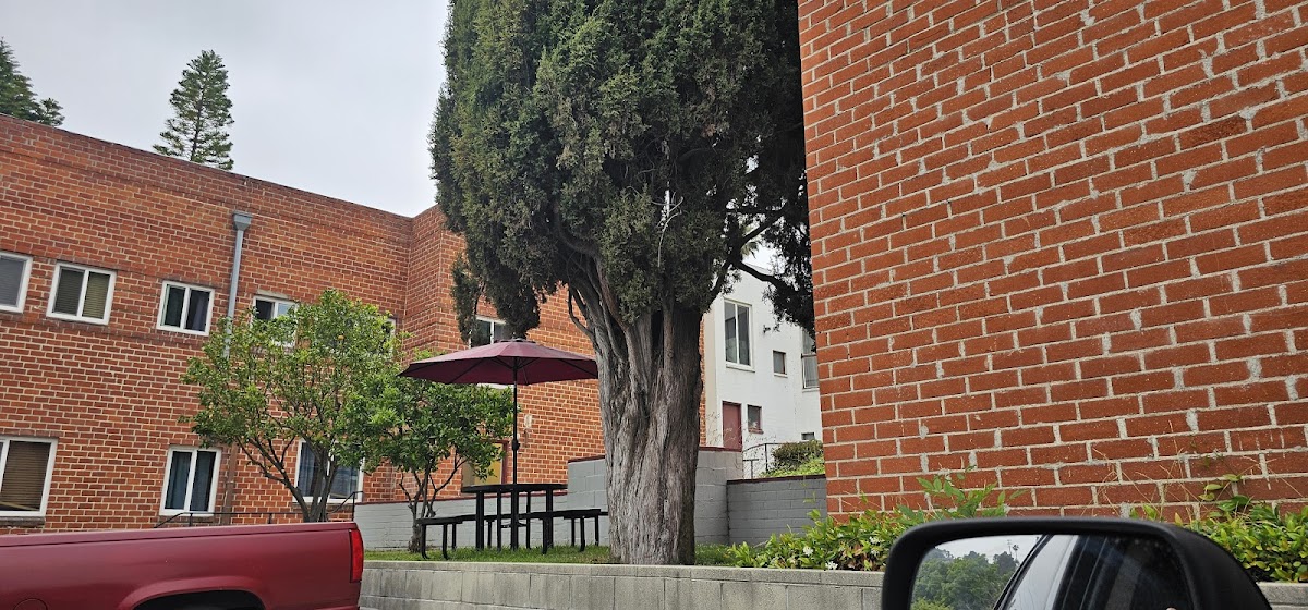 Family & Youth Alternatives