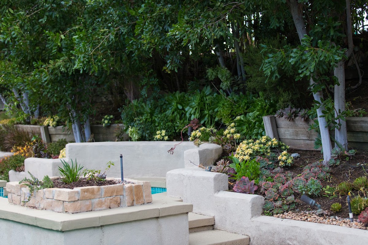 Ascend Behavioral Health