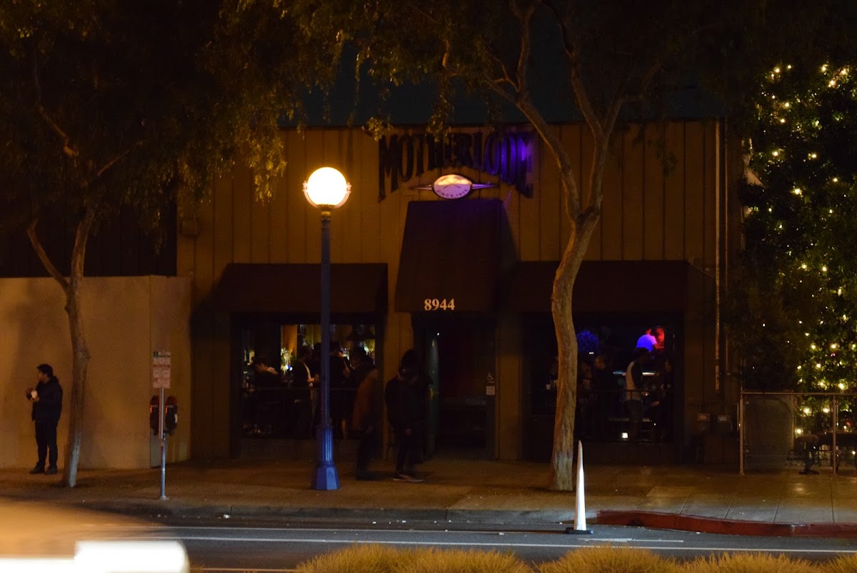 Motherload/the Herstory Building