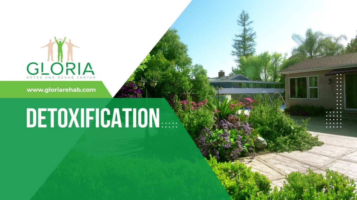 Gloria Detox | Drug & Alcohol Rehab Center Los Angeles - 照片 6