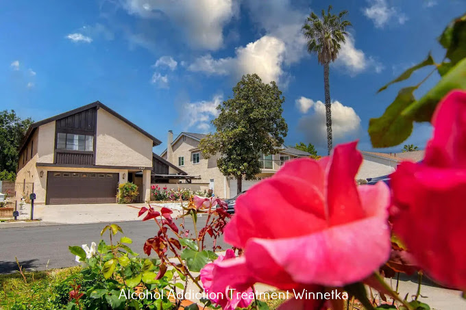 Maple Moon Recovery - Photo 6