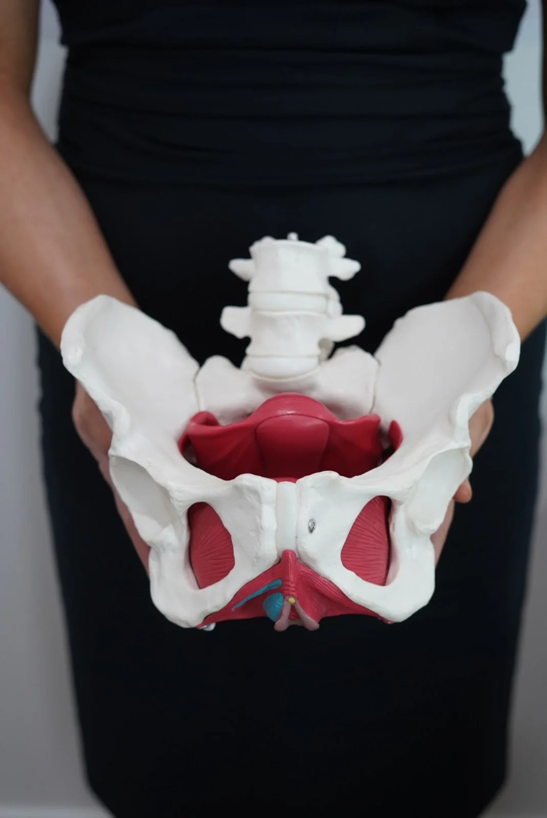 Modern Core Health and Wellness - 照片 3