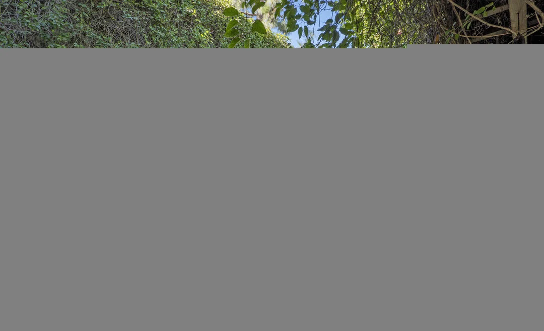 Riviera Recovery - Mental Health Housing in Santa Monica - Photo 3