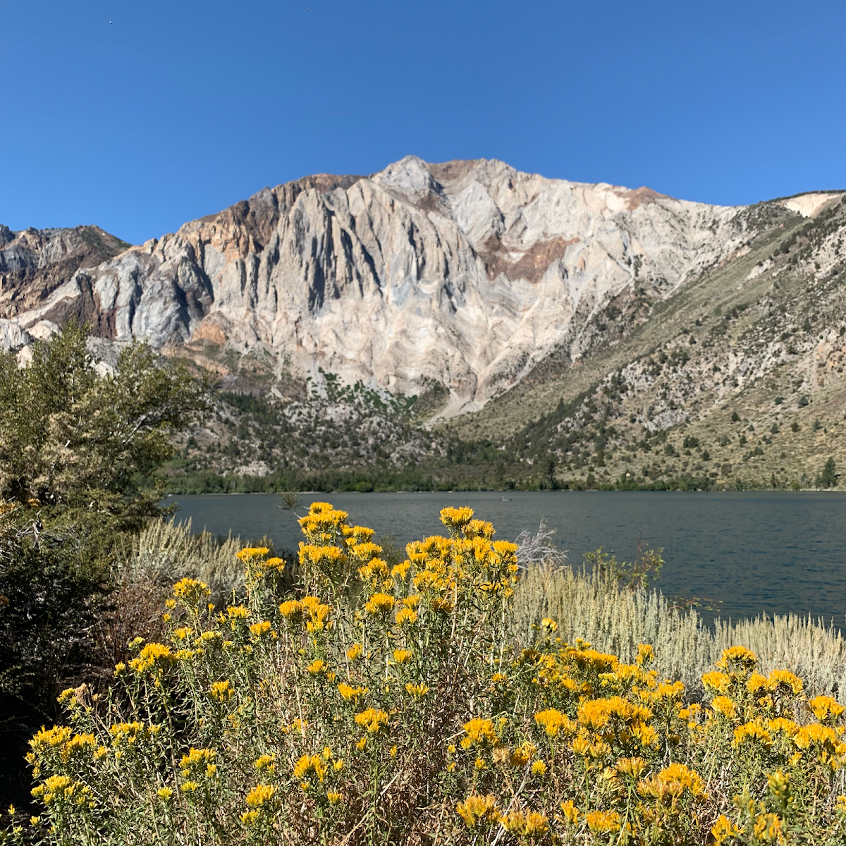 1 Method Outpatient Addiction Treatment - Photo 5