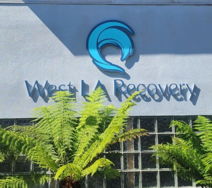 West LA Recovery - Photo 5
