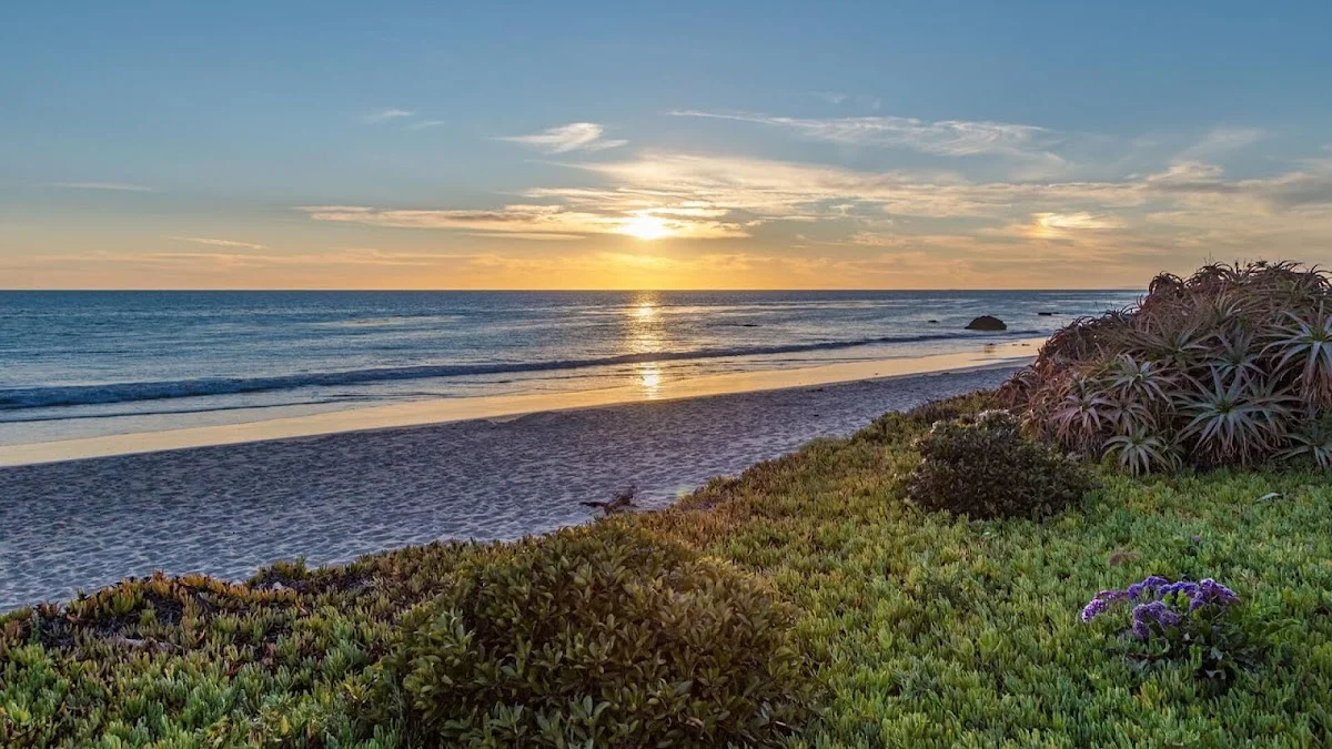 Carrara Luxury Substance Abuse Treatment - Photo 3