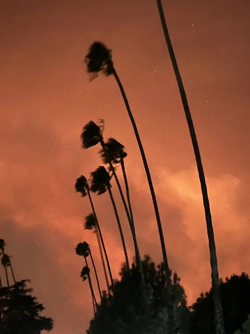 Lightfully Behavioral Health - Photo 3