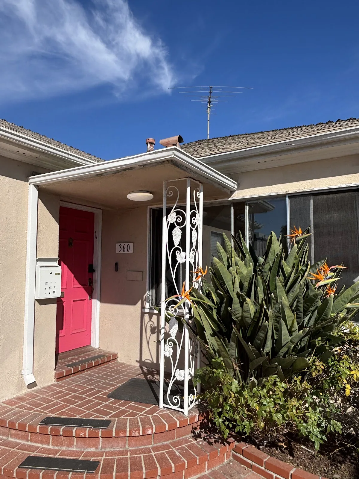 REVIVE Detox - Foto 3