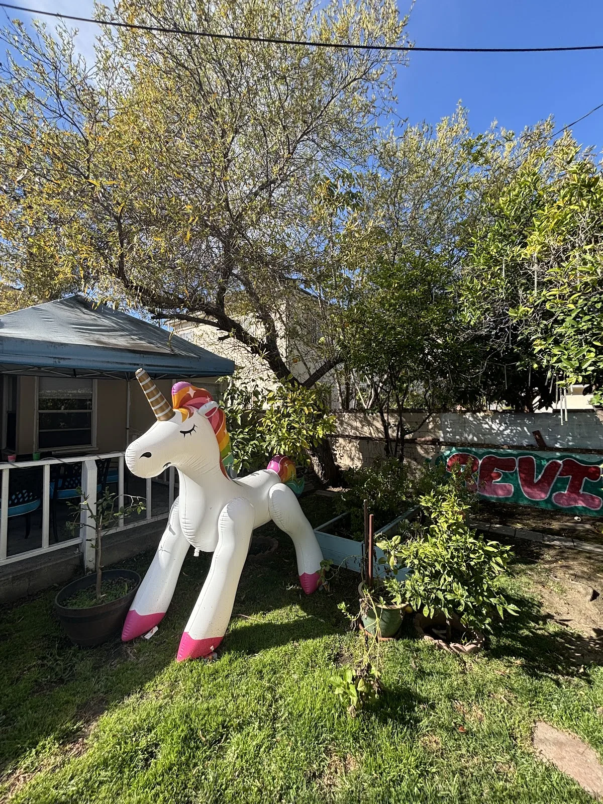 REVIVE Detox - Foto 5