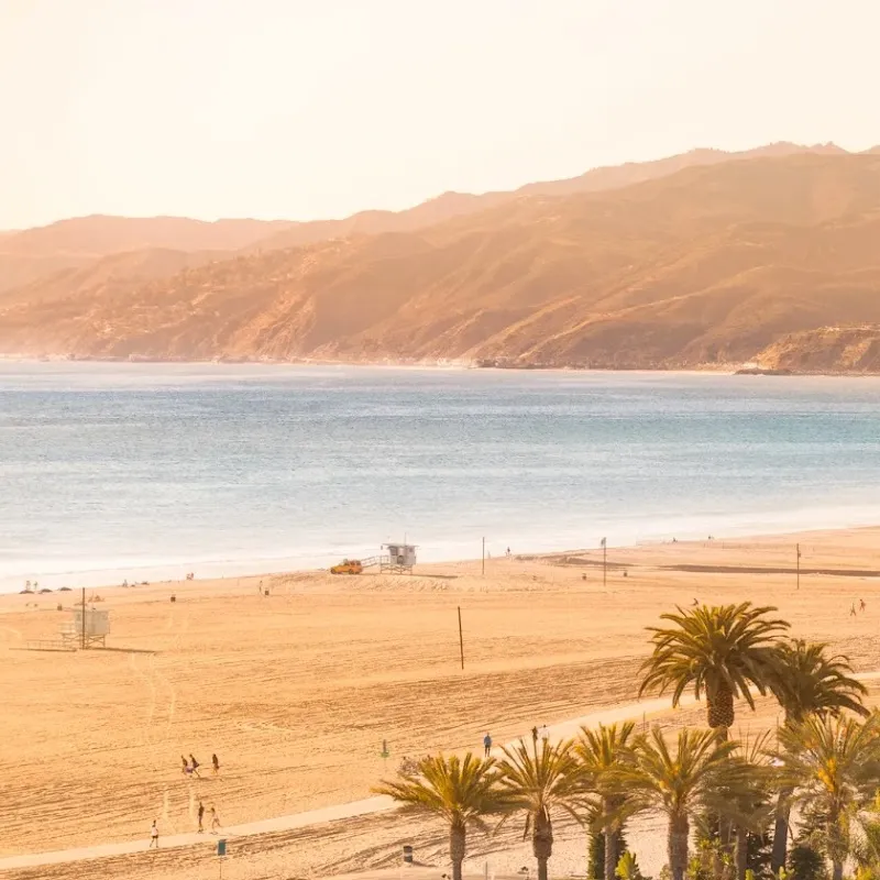 HAUS Recovery - Photo 3