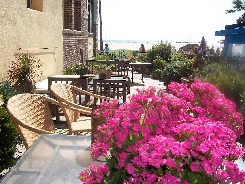 Phoenix House - Venice Beach - Photo 5