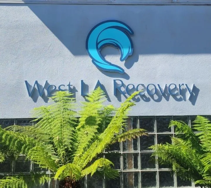 West LA Recovery - Photo 1