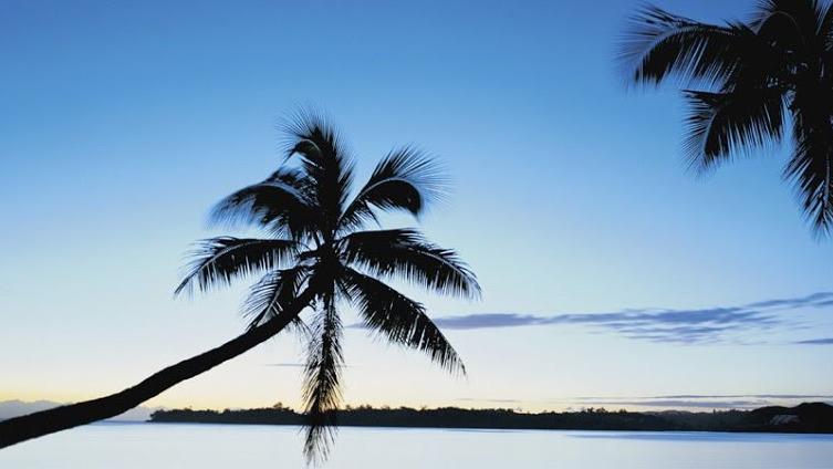 Serenity Malibu - Photo 6