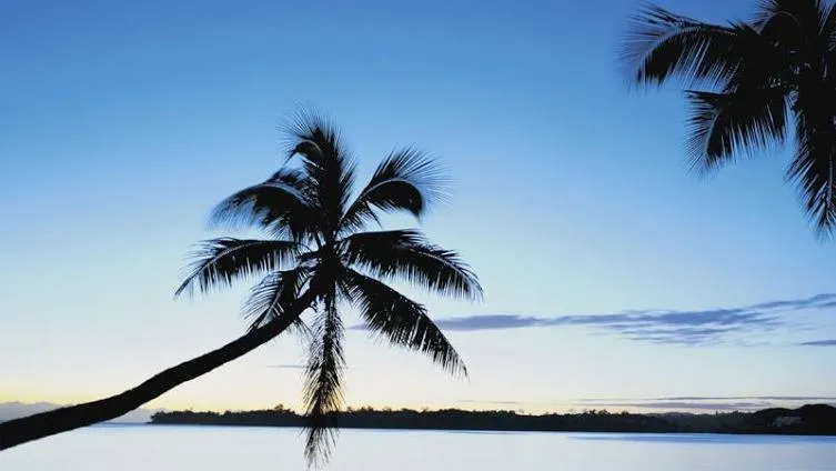 Serenity Malibu - Photo 1