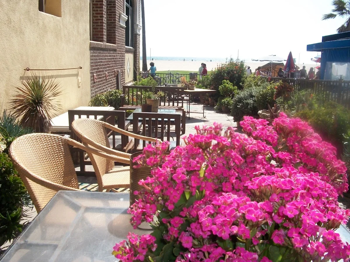 Phoenix House - Venice Beach - Photo 5