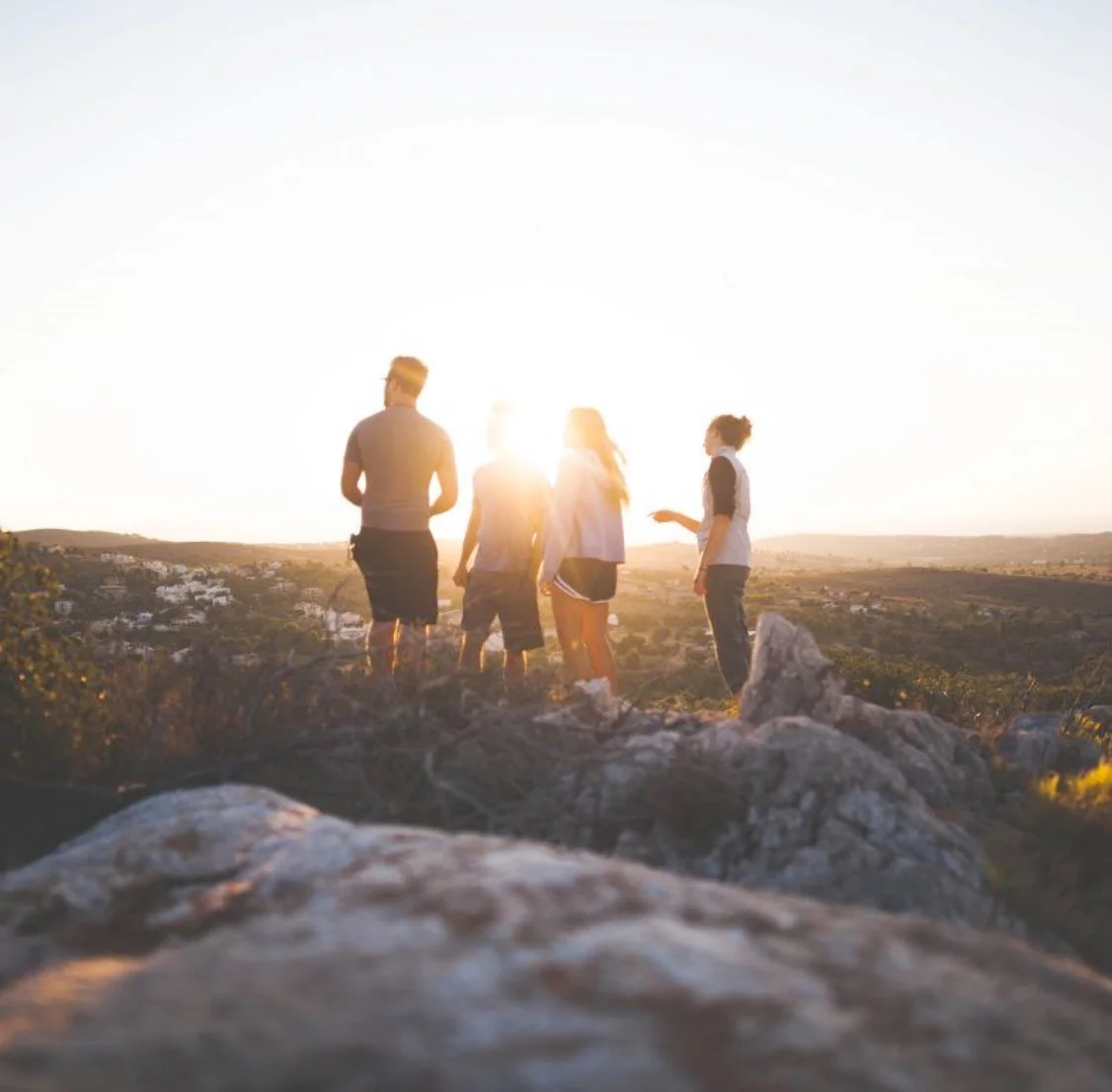 HAUS Recovery - Photo 4