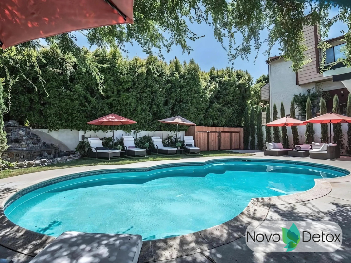 Novo Detox - Photo 5