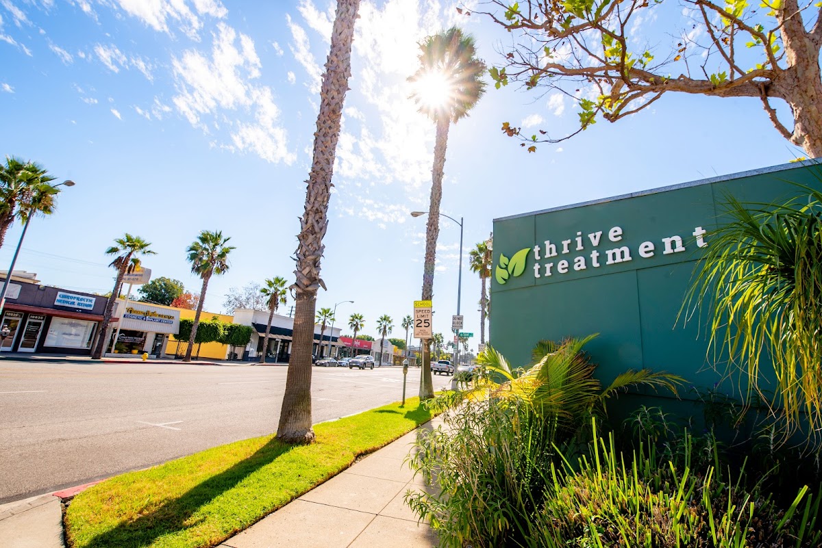 Thrive Treatment - Outpatient Dual Diagnosis Treatment (PHP & IOP) - Photo 6