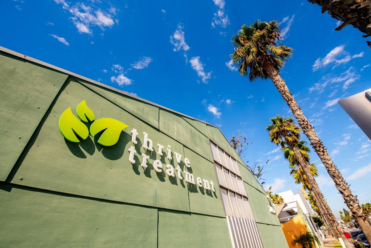 Thrive Treatment - Outpatient Dual Diagnosis Treatment (PHP & IOP) - Photo 3