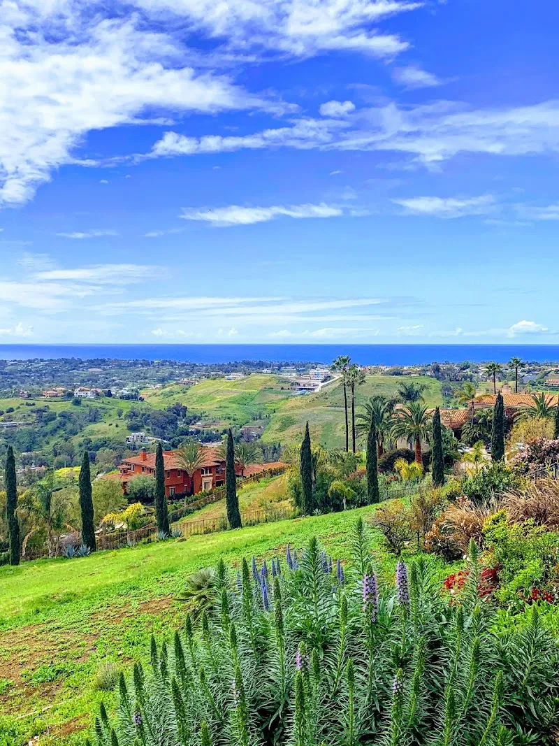 LifeSync Malibu Rehab - Photo 5