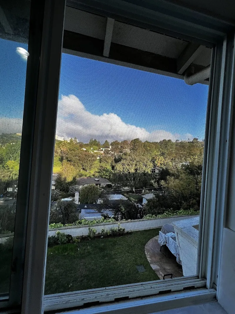 Novo Detox - Photo 5