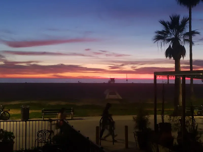 Phoenix House - Venice Beach - Photo 5