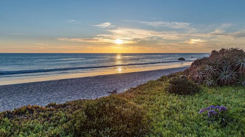 Carrara Luxury Substance Abuse Treatment - Photo 3